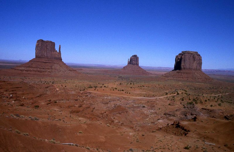 142.jpg