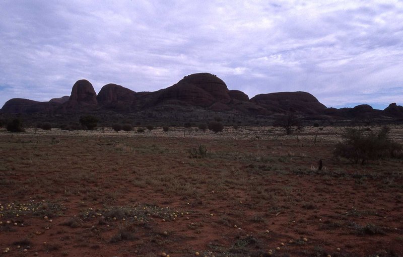106.jpg