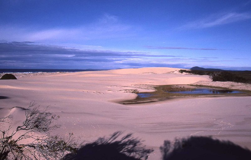 165.jpg