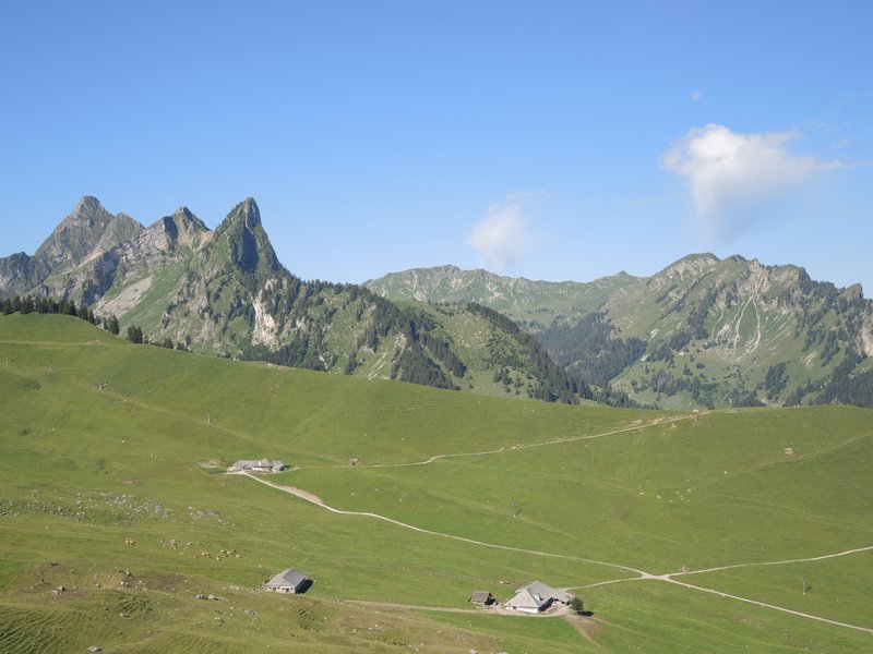 140.jpg