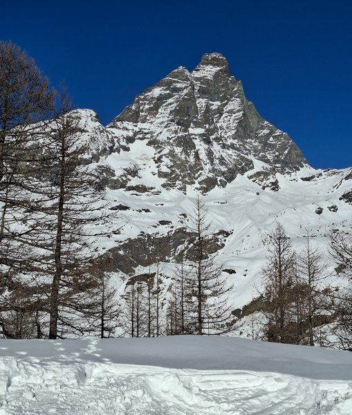 176.jpg