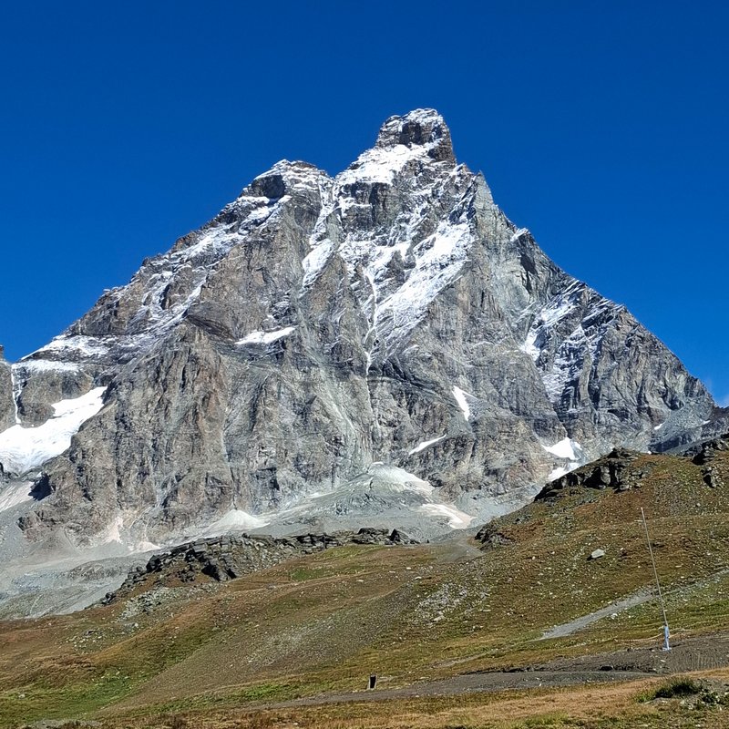 290.jpg